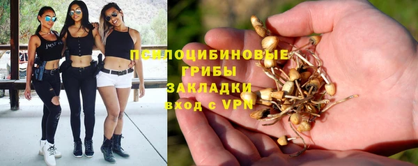 spice Верхний Тагил