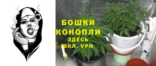 spice Верхний Тагил