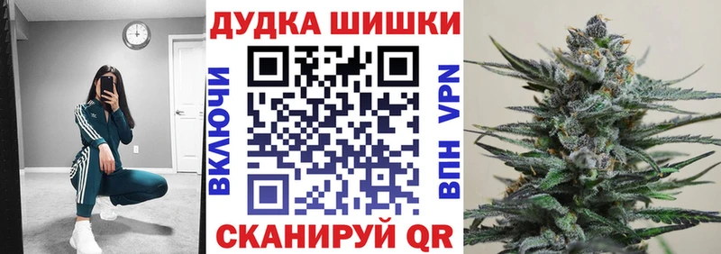 Шишки марихуана сатива  закладка  Пласт 